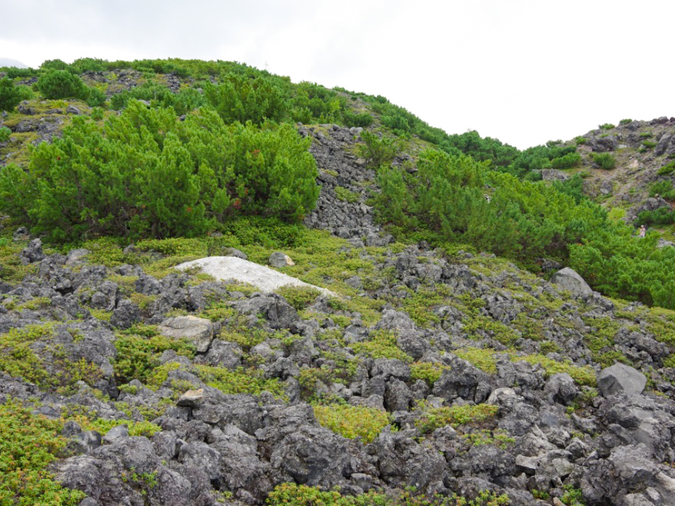 Block Slope on Central Cone Lava