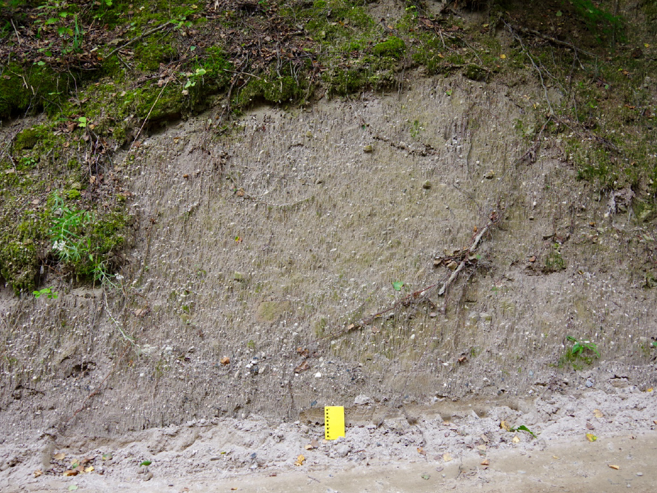 Tokachi Pyroclastic Flow Deposit at Kusawake