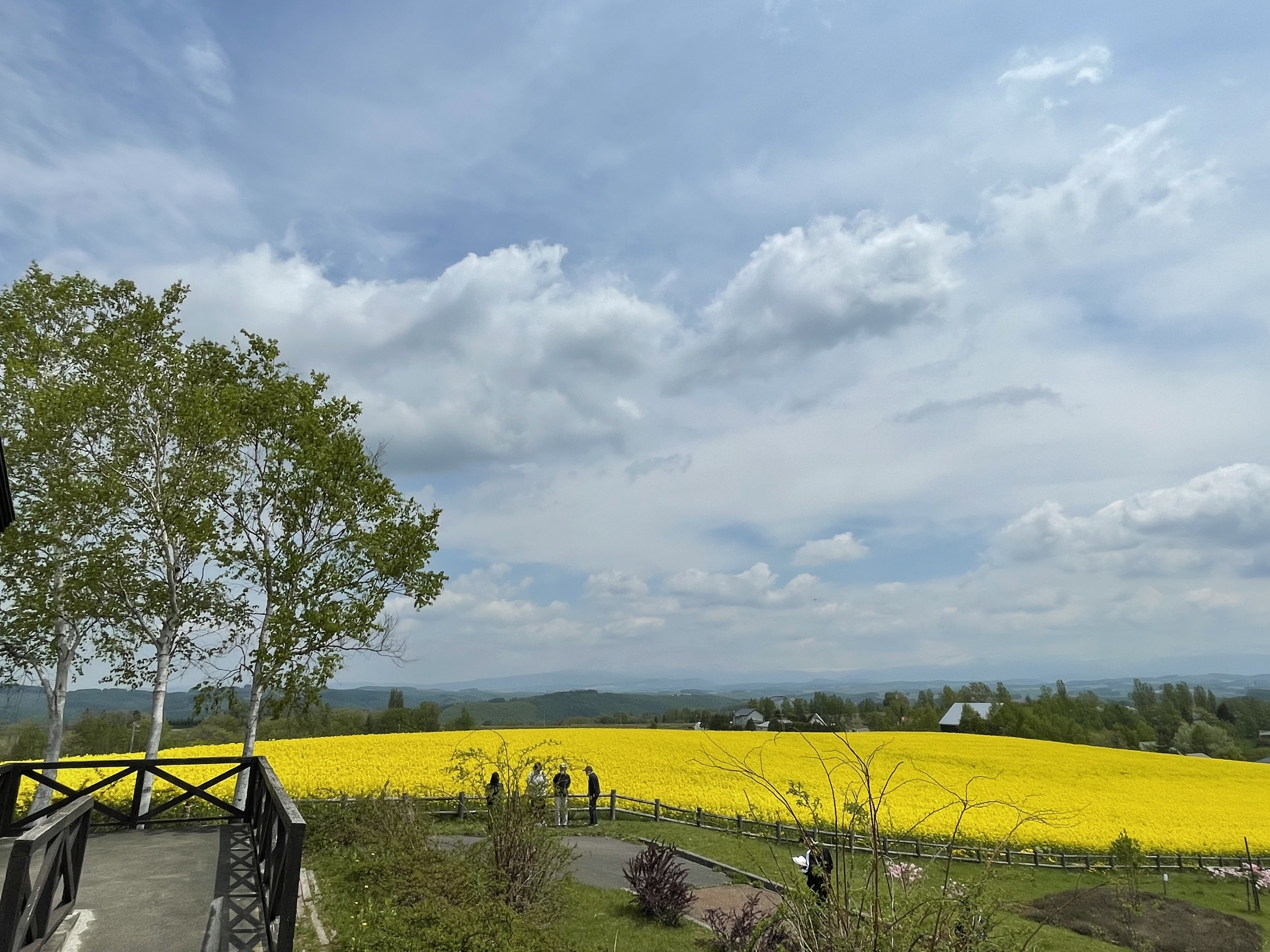 山高登 版画「菜畑」シリアルナンバー 59/200 山高登 版画「菜畑」シリアルナンバー 59/200 美術品・アンティーク