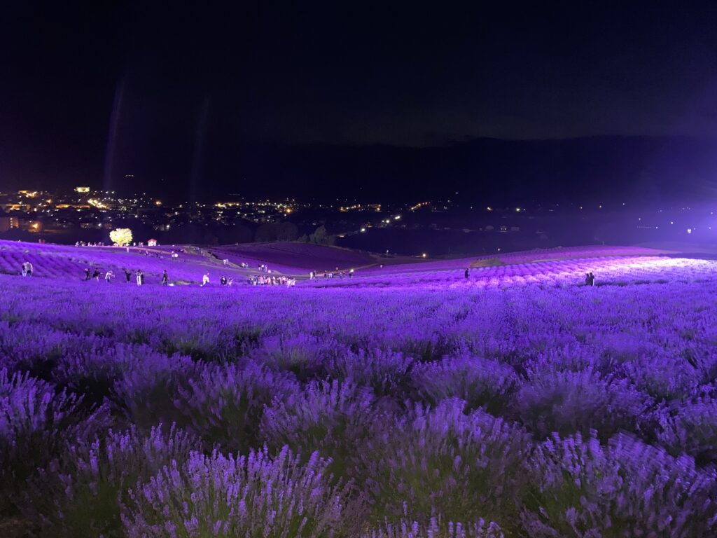 ラベンダーフェスタかみふらの 開催中 | 十勝岳ジオパーク 美瑛・上